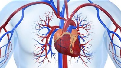 نصائح مهمة للوقاية من أمراض شرايين القلب.. تعرف عليها