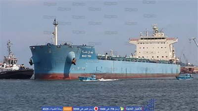 بعد توقف 7 سنوات.. ميناء غرب بورسعيد تستقبل 