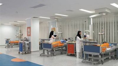 رئيس محكمة يُحرر بلاغًا بسرقة 