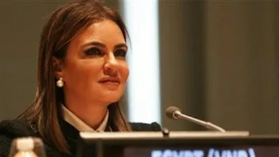 نصر تدعو المؤسسات الدولية لزيادة الاستثمار في قطاع الطاقة المتجددة بمصر 