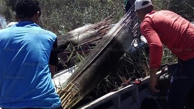 حملة مكبرة لإزالة التعديات على بحيرة البرلس تضبط 39 قضية مختلفة في كفر الشيخ (صور)