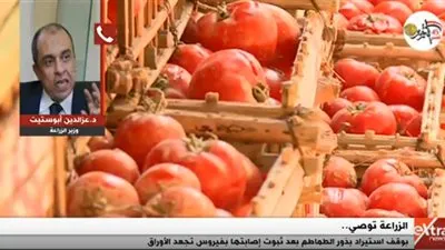 وزير الزراعة عن أزمة الطماطم: 
