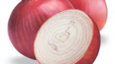 هذا النوع من البصل احذر تناوله!