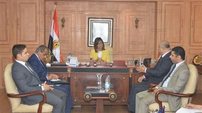 نبيلة مكرم: قاعدة بيانات المصريين بالخارج مشروع قومي وجب إنجازه 