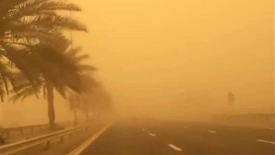 الأرصاد تكشف حقيقة تعرض البلاد لعاصفة ترابية شديدة 