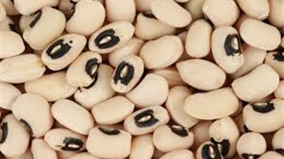 تعرفي على فوائد 