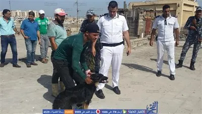 ضبط 6 كلاب شرسة وهدم عشش تربيتها في حملة أمنية مكبرة بضواحي بورسعيد (صور)