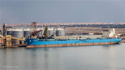 47360 طن قمح في مخازن القطاع الخاص بدمياط 