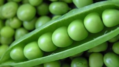 البسلة تسجل 15 جنيها اليوم الإثنين في أسواق الإسماعيلية