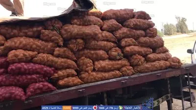 غضب مزارعي البطاطس في قنا.. كبار التجار يتحكمون في السوق والمزارع والزبون يدفعون الثمن