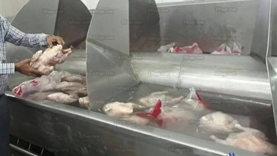 التحفظ على طن شاورما ودواجن غير صالحة للاستهلاك الآدمي بالشرقية (صور)