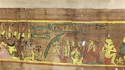 30 صورة من روائع معرض 