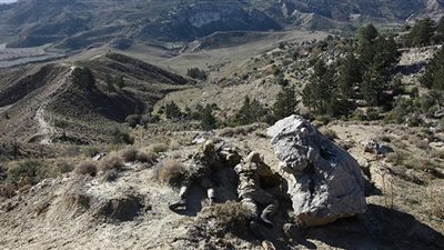 قوات الأمن التركية تحيد 8 مسلحين جنوب شرقي تركيا