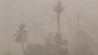 بشرى سارة من 