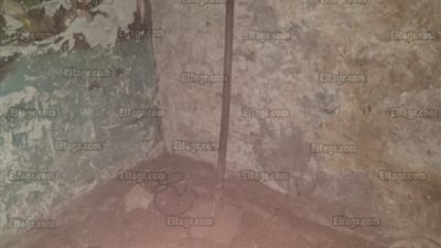 القبض على عاطل خلال تنقيبه عن الآثار في الزيتون (الصور)