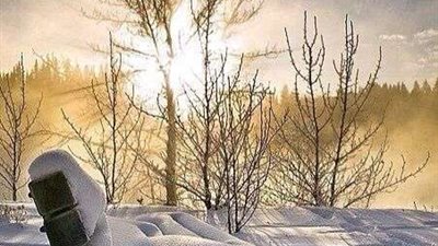 طرق علاج الاكتئاب في الشتاء