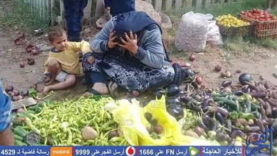 عاجل.. أول رد فعل من محافظ دمياط بشأن واقعة 