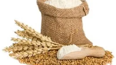 تعرف على أحكام 