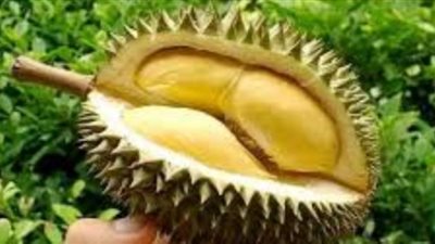 طائرة تؤخر رحلتها الجوية بسبب 