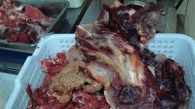 ضبط 2 طن دواجن وأسماك غير صالحة للاستهلاك الآدمي بثلاجة ببنها