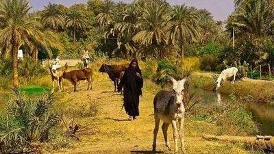 شاهد.. الريف المصري في القرن التاسع عشر