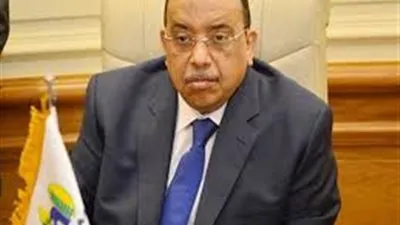 وزير التنمية المحلية: وفرنا 209 فرص عمل للشباب