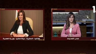 وزيرة الهجرة عن الاعتداء على مواطنة مصرية بالكويت: 