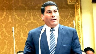 برلماني يطالب بإسقاط الجنسية عن أي شخص يحاول العبث بالأمن القومي 