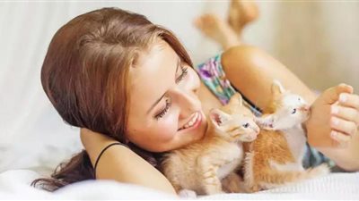 فوائد تربية القطط.. تعرف عليها