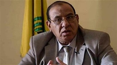 رئيس اتحاد الجمعيات الأهلية: مصر تستقبل مولود كل 15 ثانية 