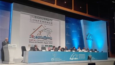 وزيرة البيئة: هدفنا القضاء على تدهور الأراضي وتغير المناخ