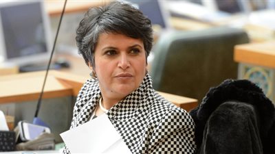 صفاء الهاشم.. تاريخ من العنصرية لا ينتهي