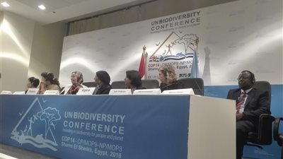 ياسمين فؤاد: مؤتمر التنوع البيولوجي أثبت أن مصر نقطة الالتقاء