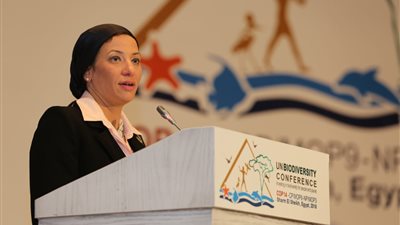 وزارة البيئة وبرنامج الأمم المتحدة الإنمائي يوقعان مشروعين لتعزيز جهود المحافظة على البيئة في حضور رئيس الوزراء 