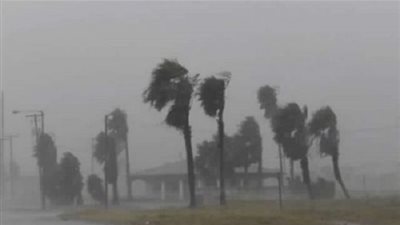 مصرع 9 أشخاص جراء العاصفة غاجا جنوب الهند