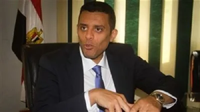 نائب رئيس حزب 