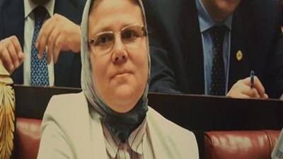 برلمانية تتقدم بطلب إحاطة لـ3 وزراء بسبب الأدوية البيطرية المغشوشة