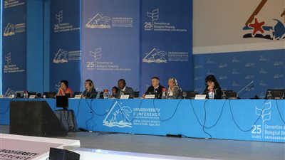 انتخاب أعضاء المكتب التنفيذي لاتفاقية ناجويا بمؤتمر التنوع البيولوجي