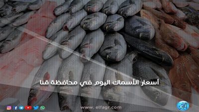 أسعار الأسماك اليوم السبت 24-11-2018 في محافظة قنا