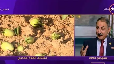 مجدي ملك يكشف سبب إحجام الفلاحين عن زراعة البطاطس