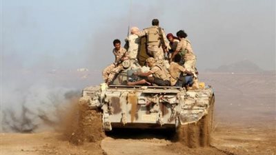 الجيش اليمنى يسيطر على حصن 