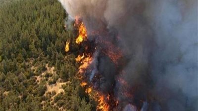 دائرة الغابات بكاليفورنيا تعلن السيطرة التامة على حرائق شمال الولاية