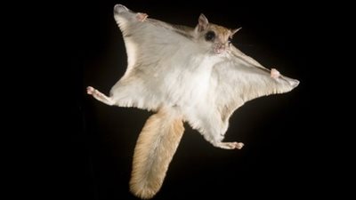 ما لا تعرفه عن 