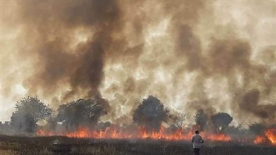 عاجل.. حريق ضخم بالشرقية