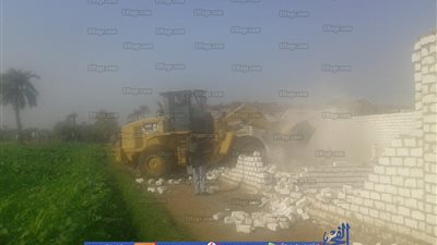 انطلاق أكبر حملة لمواجهة التعديات على الأراضي الزراعية ببني سويف (صور)