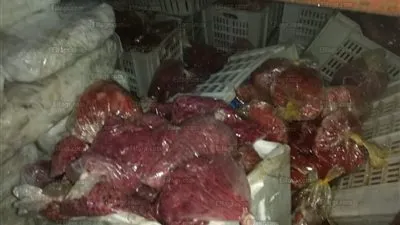 بالصور.. ضبط طن ونص أسماك فاسدة داخل مطعم شهير بمدينة نصر (صور)