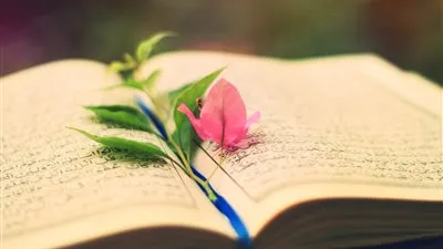 ما هي الأمة التي اتصفت بالرحمة والهداية؟