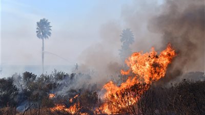 أضرار حرائق كاليفورنيا تكلف أكثر من 10 مليارات دولار