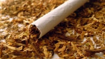 مخاطره كبيرة.. كل ما تريد معرفته عن التبغ