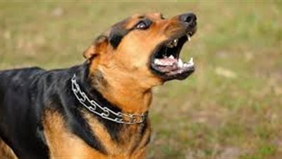 دراسة تكشف حقائق صادمة حول 